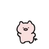 Tiny Animals 💖MOV 21