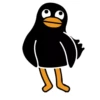 Black Duck 18