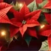 Abc Navideño🎄💞3🇵🇪Movi 24