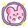 Pink chinchilla 🩷🐀 MOV 20