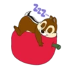 Chip & Dale ♥🐿 Mov 16