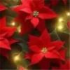 Abc Navideño🎄💞3🇵🇪Movi 26