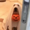 🐶Pҽƚʂ🐱 HAʅʅσɯҽҽɳ 🎃 25