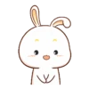 Lovely Bunny 18