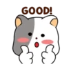 White cat 🐈♥ Mov 21
