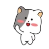White cat 🐈♥ Mov 23
