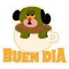 Perro Verde 8