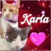 Karla💞1🇵🇪Movi 27