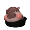 MooDoong Hippo 🦛 MOV 23