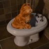 garfield mov 21