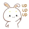 Lovely Bunny 22