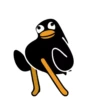 Black Duck 19