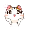 Gatito Calico_VR1 20
