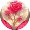 Rosas💞1🇵🇪Movi 29