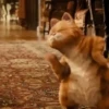 garfield mov 23