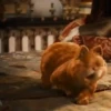 garfield mov 24