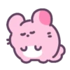 Pink chinchilla 🩷🐀 MOV 23
