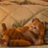 garfield mov 25
