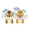 Chip & Dale ♥🐿 Mov 24