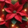 Abc Navideño🎄💞3🇵🇪Movi 30