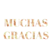 Muchas gracias texto😊🔤anim (sticker.fan) 8