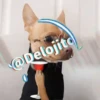 🍷🐕Perrito En Efecto🐕🍷 6