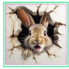 Animales🐰Movi🇲🇽 7