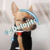 🍷🐕Perrito En Efecto🐕🍷 7