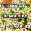 BUENOS DIAS 🌺🦋 6