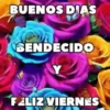BUENOS DIAS 🌺🦋 7
