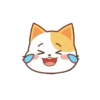 orange cat mov 8