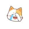 orange cat mov 9