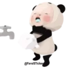Pandababy 8