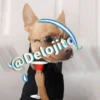 🍷🐕Perrito En Efecto🐕🍷 9