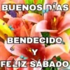 BUENOS DIAS 🌺🦋 8