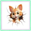 Animales🐰Movi🇲🇽 11