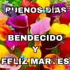 BUENOS DIAS 🌺🦋 10