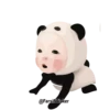 Pandababy 12