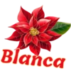 NAVIDAD 1 SURTIDOS 10