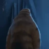 Garfield The Movie 2024😺-Mov 14