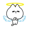 🐈🐱 WhItE CaT 🐱🐈 (Mov) 9