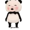 Pandababy 14