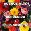 BUENOS DIAS 🌺🦋 13