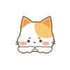 orange cat mov 13