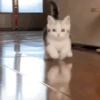 10 ♡☆ MiChIs ☆♡ 14