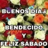 BUENOS DIAS 🌺🦋 14