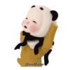 Pandababy 16
