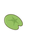 Turtle 🐢💖MOV 9