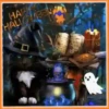 👻ԋAρρy ԋAʅʅσɯҽɳ #2🎃 12
