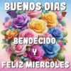 BUENOS DIAS 🌺🦋 17